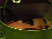 /album/fenykepgaleria/p9200827-masolata-2-jpg/